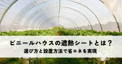 ビニールハウスの遮熱シートとは？選び方と設置方法で省エネを実現 | 暑さ対策